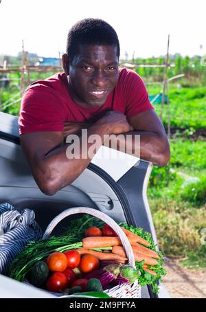 Homme emballant les légumes récoltés dans le coffre de voiture Banque D'Images