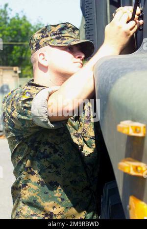 US Marine corps (USMC) Caporal lance (LCPL) Silas page, opérateur de transport automobile, Bataillon du quartier général, Compagnie de camions, 1st Division Marine, Base de corps de marine (MCB) Camp Pendleton, Californie (CA), resserre le capot d'un véhicule tactique de remplacement moyen (MTVR) (alias 7 tonnes) dans le parc de stationnement de Truck Company. Base: Corps de marine base Camp Pendleton État: Californie (CA) pays: Etats-Unis d'Amérique (USA) Banque D'Images