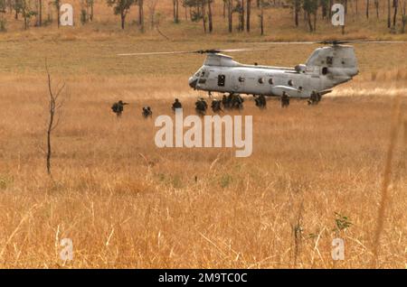 Un corps des Marines des États-Unis (USMC) CH-46E Sea Knight, Marine Medium Helicopter Squadron-262 (HMM-262), Marine Aircraft Group-36, 1st Marine Aircraft Wing, se prépare à décoller après avoir déposé des Marines de Golf Company, 2nd Bataillon, 3rd Marine Regiment (2/3), lors de l'exercice d'entraînement CROCODILE 2003 dans la zone d'entraînement de Shoalwater Bay, en Australie. Sujet opération/série: CROCODILE 2003 base: Camp Samuel Hill État: Queensland pays: Australie (AUS) Banque D'Images