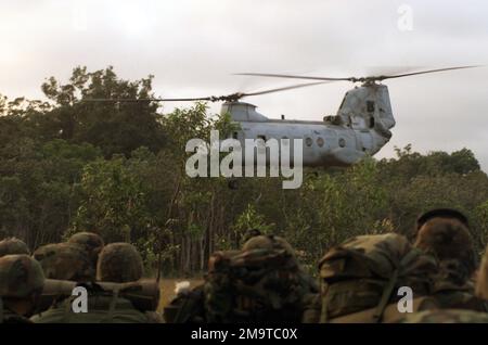 US Marine corps (USMC) Marines de Golf Company, 2nd Bataillon, 3rd Marine Regiment (2/3), stand by as a CH-46E Sea Knight, Marine Medium Helicopter Squadron-262 (HMM-262), Marine Aircraft Group-36, 1st Marine Aircraft Wing, Arrive pour les transporter dans un nouveau lieu pendant l'exercice d'entraînement CROCODILE 2003 à la zone d'entraînement de Shoalwater Bay, en Australie. Sujet opération/série: CROCODILE 2003 base: Camp Samuel Hill État: Queensland pays: Australie (AUS) Banque D'Images