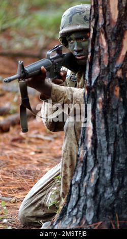 Une recrue d'entraînement de base du corps des Marines des États-Unis (USMC), armée de fusils M16A2 de 5,56 mm, du peloton 2086, du dépôt de recrutement du corps des Marines de l'île de Parris (MCRD), à l'île de Parris, en Caroline du Sud (SC), prend la couverture derrière un arbre pendant la phase d'entraînement 'Crucible'. La phase de formation Crucible consiste en 54 heures de formation sur le terrain, y compris la privation de sommeil, la privation de nourriture, avec des opérations de jour et de nuit et est l'un des tests finaux pour que les recrues deviennent une Marine. Base: USMC Recruit Depot,Parris Island État: Caroline du Sud (SC) pays: États-Unis d'Amérique (USA) Banque D'Images