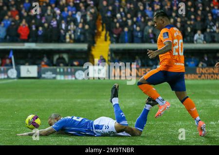 Rugby Park, Kilmarnock, Royaume-Uni. 18th janvier 2023. Lors d'un match écossais de Premiership entre Kilmarnock FC et Rangers au stade Billy Bowie BBSP Rugby Park, les Rangers ont remporté par 3 buts à 2. Les buteurs étaient Stokes (Kilmarnock) 6 minutes, Wright (Kilmarnock) 59 minutes, Morelos (Rangers) 23 minutes et 72 minutes, Kent (Rangers) 52 minutes. Armstrong (Kilmarnock) a été cardé rouge à 59 minutes. Morelos a été donné joueur du match. Crédit : Findlay/Alay Live News Banque D'Images