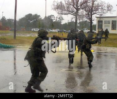 LES membres DU corps DES Marines DES ÉTATS-UNIS (USMC) de Small Crafts Company, Headquarters Battalion, 2nd Marine Division, ont fait l'assaut d'un bâtiment pendant l'exercice de capacités (CAPEX), afin de sauver un groupe imaginaire de civils américains. Base : base du corps marin, Camp Lejeune État : Caroline du Nord (NC) pays : États-Unis d'Amérique (USA) Banque D'Images