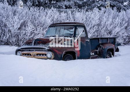 Un camion d'époque recouvert de givre et enterré dans la neige dans la campagne de la Saskatchewan Banque D'Images