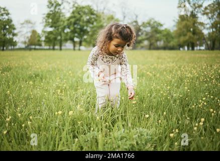 Fille, champ et fleurs dans la nature, en plein air et l'apprentissage des plantes dans la cour, le parc ou les bois. Jeune fille, cueillette de fleurs et aventure Banque D'Images