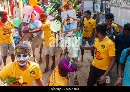 Kuilapalayam, Inde - 17th janvier 2023 : Festival Pongal. La parade dans le village avant la course à la vache. Banque D'Images