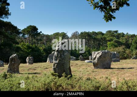 Pierres de Carnac (sites mégalithiques). Alignements le Ménec. Commune de Carnac. Département du Morbihan. Bretagne. France Banque D'Images