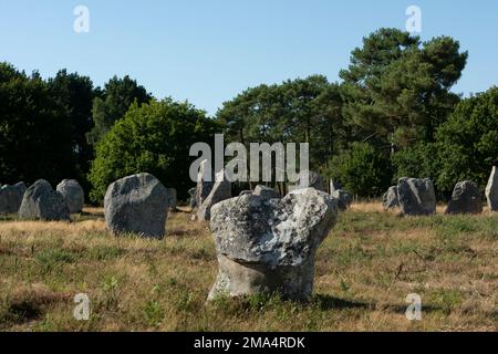 Pierres de Carnac (sites mégalithiques). Alignements le Ménec. Commune de Carnac. Département du Morbihan. Bretagne. France Banque D'Images