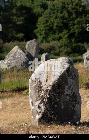 Pierres de Carnac (sites mégalithiques). Alignements le Ménec. Commune de Carnac. Département du Morbihan. Bretagne. France Banque D'Images