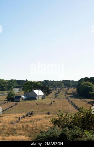 Pierres de Carnac (sites mégalithiques). Alignements Kermario. Commune de Carnac. Département du Morbihan. Bretagne. France Banque D'Images