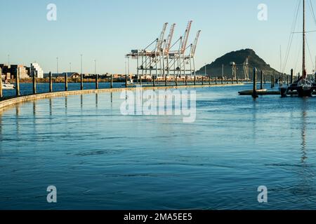 Tauranga Nouvelle-Zélande - 10 juillet 2010; quai flottant de la marina avec le mont Maunganui et le port de Tauranga et des grues en arrière-plan Banque D'Images