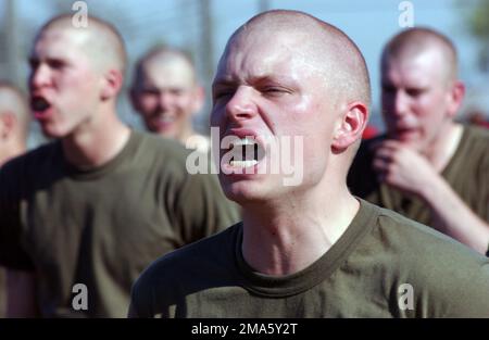 LES recrues DU US Marine corps (USMC) du 1st Bataillon participent à la première phase de leur formation du Marine corps Martial Arts Program (MCMAP), tenue à bord du Marine corps Recruit Depot (MCRD), à Parris Island, en Caroline du Sud (SC). Base: USMC Recruit Depot,Parris Island État: Caroline du Sud (SC) pays: États-Unis d'Amérique (USA) Banque D'Images