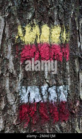 Deux marquages ou panneaux d'itinéraire peints sur l'écorce des arbres le long d'un sentier de randonnée Banque D'Images