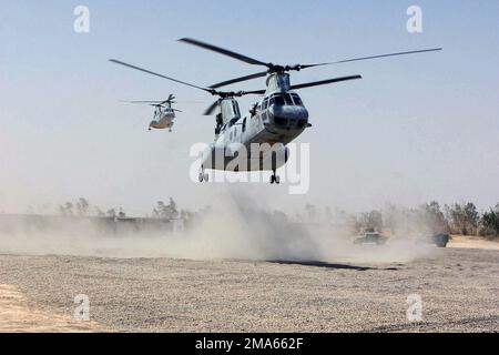 Deux hélicoptères Sea Knight CH-46 du corps des Marines des États-Unis (USMC) atterrissent à bord du Camp Baharia, à Fallujah, en Irak, où se trouve le Bataillon 1st de l'USMC, 6th Marines. Les Marines affectés à la Division maritime de 2nd et aux Forces multinationales de l'Ouest (MNF-W) mènent des opérations de contre-insurrection avec les forces de sécurité iraquiennes pour isoler et neutraliser les forces anti-iraquiennes, pendant l'opération LIBERTÉ IRAQUIENNE. Sujet opération/série: BASE DE LIBERTÉ IRAQUIENNE: Camp Fallujah État: Al Anbar pays: Irak (IRQ) Banque D'Images