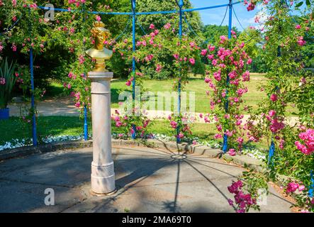 Arbour, également kiosque, avec le buste de la chanteuse d'opéra Henriette Sontag, Branitzer Park, Fuerst Pueckler Park, Cottbus, Brandebourg, Allemagne Banque D'Images