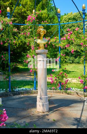 Arbour, également kiosque, avec le buste de la chanteuse d'opéra Henriette Sontag, Branitzer Park, Fuerst Pueckler Park, Cottbus, Brandebourg, Allemagne Banque D'Images