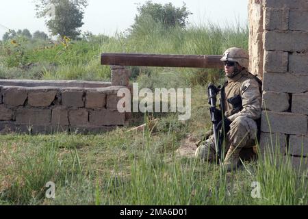 US Navy (USN) Hospitalman troisième classe (HM3) Nicholas Herrera, affecté au 3rd Bataillon, 8th Marines Regiment, kilo Company, 2nd peloton, 1st Squad, Est armé d'un fusil M16A2 5,56mm alors qu'il occupe une position de sécurité à une station de pompage près de l'Euphrate, à Zaidon, en Irak, pendant l'opération Scimitar. Les Marines de l'USMC affectées à la Division marine de 2nd mènent des opérations anti-insurrectionnelles avec les forces de sécurité irakiennes (ISF) pour isoler et neutraliser les forces anti-iraquiennes, à l'appui de l'opération LIBERTÉ IRAQUIENNE. Objet opération/série: LIBERTÉ IRAQUIENNE base: Zaidon État: Al Anbar pays: Irak Banque D'Images