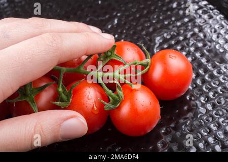 Bouquet de tomates cerise rouge mûre délicieux dans la main Banque D'Images