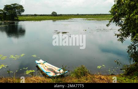 La zone humide Anawilundawa est un sanctuaire administré par le Département de la conservation de la faune sauvage du Sri Lanka et a été déclarée site Ramsar en 1971, l'une des trois premières zones humides Ramsar déclarées. Il se situe entre Chilow et Puttalam, dans la Division du Secrétariat divisionnaire d'Arachchikattuwa, province du Nord-Ouest. Il couvre une superficie de of1397 hectares. Les terres humides forestières des marais de mangrove et d'eau douce, les côtes des lacs d'eau salée et d'eau douce sont trois principaux écosystèmes que l'on rencontre dans le sanctuaire des terres humides. C'est un habitat pour de nombreuses espèces avifaune indigènes et migrantes ainsi que pour les mammifères, le dragon Banque D'Images