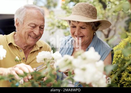 Ma femme en rouge, peu importe ses couleurs. un couple âgé qui tend à des plantes dans leur arrière-cour. Banque D'Images