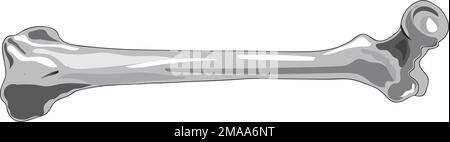 tranquillité de l'illustration du vecteur osseux du coude Illustration de Vecteur