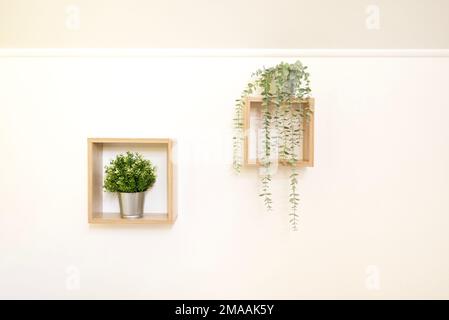 Composition décorative avec plantes vertes dans un cadre en bois blanc suspendu sur un mur blanc avec espace de copie Banque D'Images