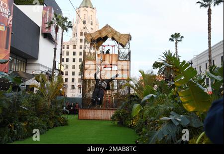 HOLLYWOOD, CA - 18 JANVIER : ambiance à la première à Los Angeles de Prime Video's 'Hotgun Wedding' au TCL Chinese Theatre sur 18 janvier 2023 à Ho Banque D'Images