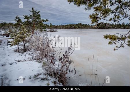 Sentier de randonnée menant le long de la rive d'un lac gelé. Sentier nature de Jalase, réserve de paysage, Estonie. Banque D'Images