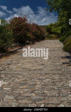 La via di Porta Rosa (route de la porte rose) est une route hellénistique remarquable, pavée de blocs de calcaire, qui reliait les quartiers et deux ports d'Elea, fondée en face de la mer Tyrrhénienne par les colons grecs au début de 500s av. J.-C. à Marina di Ascea en Campanie, dans le sud de l'Italie. Le site de la ville, connu des Romains sous le nom de Velia, est maintenant un parc archéologique et fait partie d'un site classé au patrimoine mondial de l'UNESCO. Banque D'Images