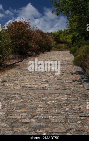 La via di Porta Rosa (route de la porte rose) : une remarquable route de calcaire hellénistique pavée construite par les anciens colons grecs pour relier les quartiers et les deux ports d'Elea, fondée en face de la mer Tyrrhénienne au début de 500s av. J.-C. à Marina di Ascea en Campanie, dans le sud de l'Italie. Le site de la ville, connu des Romains sous le nom de Velia, est maintenant un parc archéologique et fait partie d'un site classé au patrimoine mondial de l'UNESCO. Banque D'Images