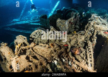 Thistlegorm Norton 16H et BSA motos, à l'intérieur de la salle de cargaison certains se posant dans Bedford Trucks arrière, Red Sea Égypte top épave dans le monde Banque D'Images