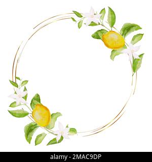 Aquarelle peinte à la main cadre citron sur fond blanc. Illustration vectorielle des feuilles, des fleurs, des bourgeons et des branches verts. Illustration de Vecteur