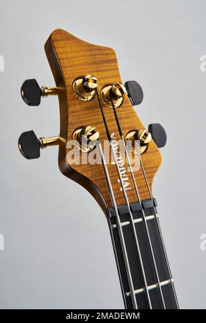 Guitare basse Marteaux Contra Banque D'Images