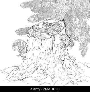 dessin de ligne de livre magique dans la forêt. Illustration de haute qualité Banque D'Images