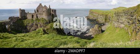 La ruine du château de Dunluce : un promontoire bordé d'une falaise, une petite baie et une médose couverte d'herbe verte longue mène à la ruine sur le bord. Banque D'Images