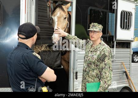 SILVER SPRING, Md (26 mai 2022) – le lieutenant Ilja Khavrutskii visite la remorque à cheval de la police du parc national du Maryland au stand de sécurité d'été. Le Centre de recherches médicales navales, de concert avec l'Institut de recherche de l'Armée Walter Reed, a tenu un stand de sécurité d'été pour le personnel de commandement. L'événement a comporté une présentation sur la sécurité suivie de démonstrations en plein air par des organisations invitées, notamment le service de parc du Maryland, le service de police du comté de Montgomery et le service d'incendie de fort Detrick/Forest Glen. Banque D'Images