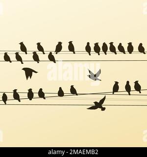 silhouettes d'un troupeau d'oiseaux contre le ciel Illustration de Vecteur