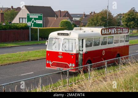 13 sept 2014 une vieille République d'Irlande Vintage Coache revenant d'une journée de divertissement par la route à deux voies à Bangor après une journée à une foire locale Banque D'Images