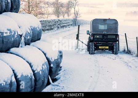 Couverture de neige légère sur les grosses balles recouvertes de plastique noir épais. Petit véhicule agricole couvert de type quad. Stationné à proximité. Banque D'Images