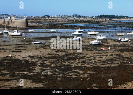 Port de Roscoff à marée basse, Finistère, Bretagne, France, Europe Banque D'Images