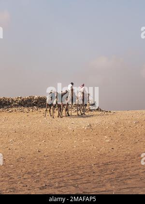 Des hommes qui marchent leurs chameaux autour du complexe de la pyramide à Gizeh, le Caire, en Égypte. Banque D'Images