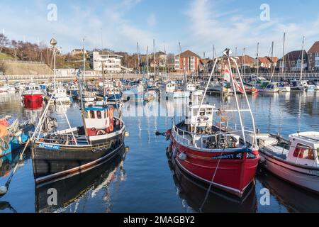 Bateaux amarrés à Roker Marina, Sunderland, nord-est de l'Angleterre, Royaume-Uni Banque D'Images