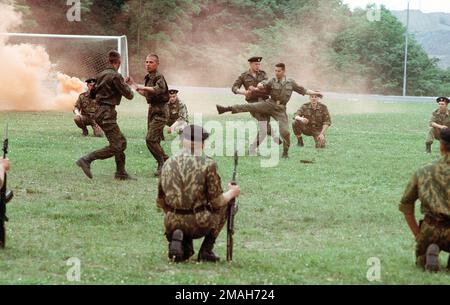 Les marines russes effectuent une démonstration de techniques de combat main à main pour un groupe de marins américains et marins de l'USS DUBUQUE (LPD-8) (non illustré) dans une base d'infanterie marine près de Vladivostok. Le navire américain effectue une visite au port dans le cadre d'un exercice combiné américano-russe de secours en cas de catastrophe. Objet opération/série: COOPÉRATION DE LA BASE MARITIME: Vladivostok État: Sibérie pays: Russie (RUS) Banque D'Images