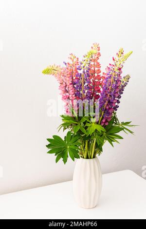 Lupinus dans un vase blanc contre un mur blanc, partie d'un intérieur de maison, décoration de maison avec des fleurs lupin, confortable fond d'été Banque D'Images