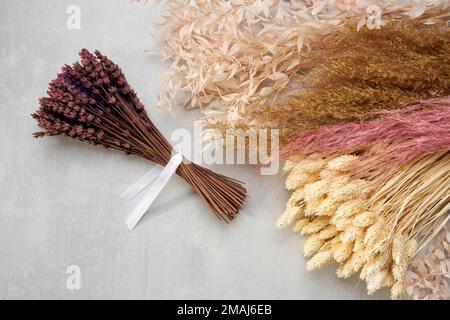 Un ensemble de lavande séchée. Plantes séchées, fleurs et épillets pour bouquets décoratifs et décoration intérieure. Vue de dessus. Banque D'Images