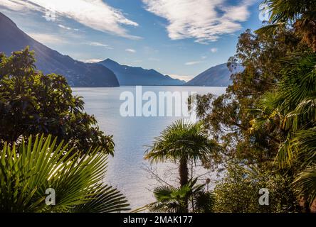 Le parc Helenium, le long des rives du lac de Lugano, en banlieue. Ensoleillé en hiver. Vue depuis le sentier des oliviers jusqu'à la banlieue de Lugano. La ligne Banque D'Images