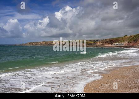 Plage de la mer à South Milton Sands, Devon, Royaume-Uni Banque D'Images