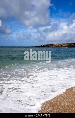 Plage de la mer à South Milton Sands, Devon, Royaume-Uni Banque D'Images