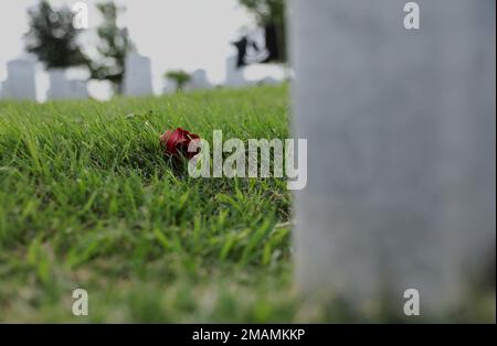 Des roses rouges sont posées sur les pierres tombales des soldats tombés pour honorer les sacrifices des militaires américains et de leurs familles le jour du souvenir, à 30 mai 2022, au cimetière des anciens combattants du Texas central, à Killeen, Texas. Le Memorial Day a été créé en 1971 pour rendre hommage à ceux qui ont servi les États-Unis et ont payé le prix ultime. Banque D'Images