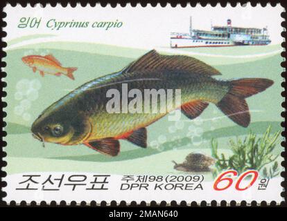 2009 jeu de timbres de la Corée du Nord. Poisson. Cyprinus carpio, Carpe eurasienne, Carpe commune, Carpe européenne Banque D'Images